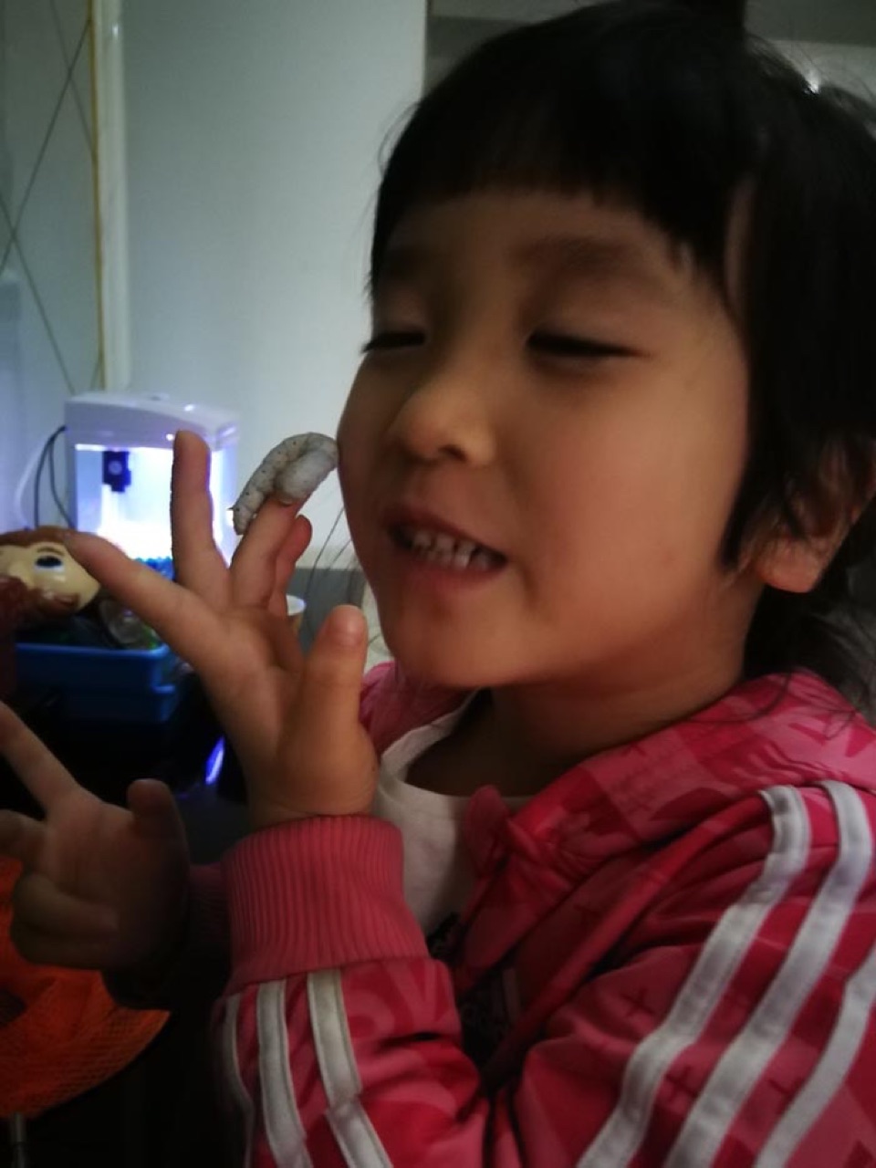 蚕宝宝