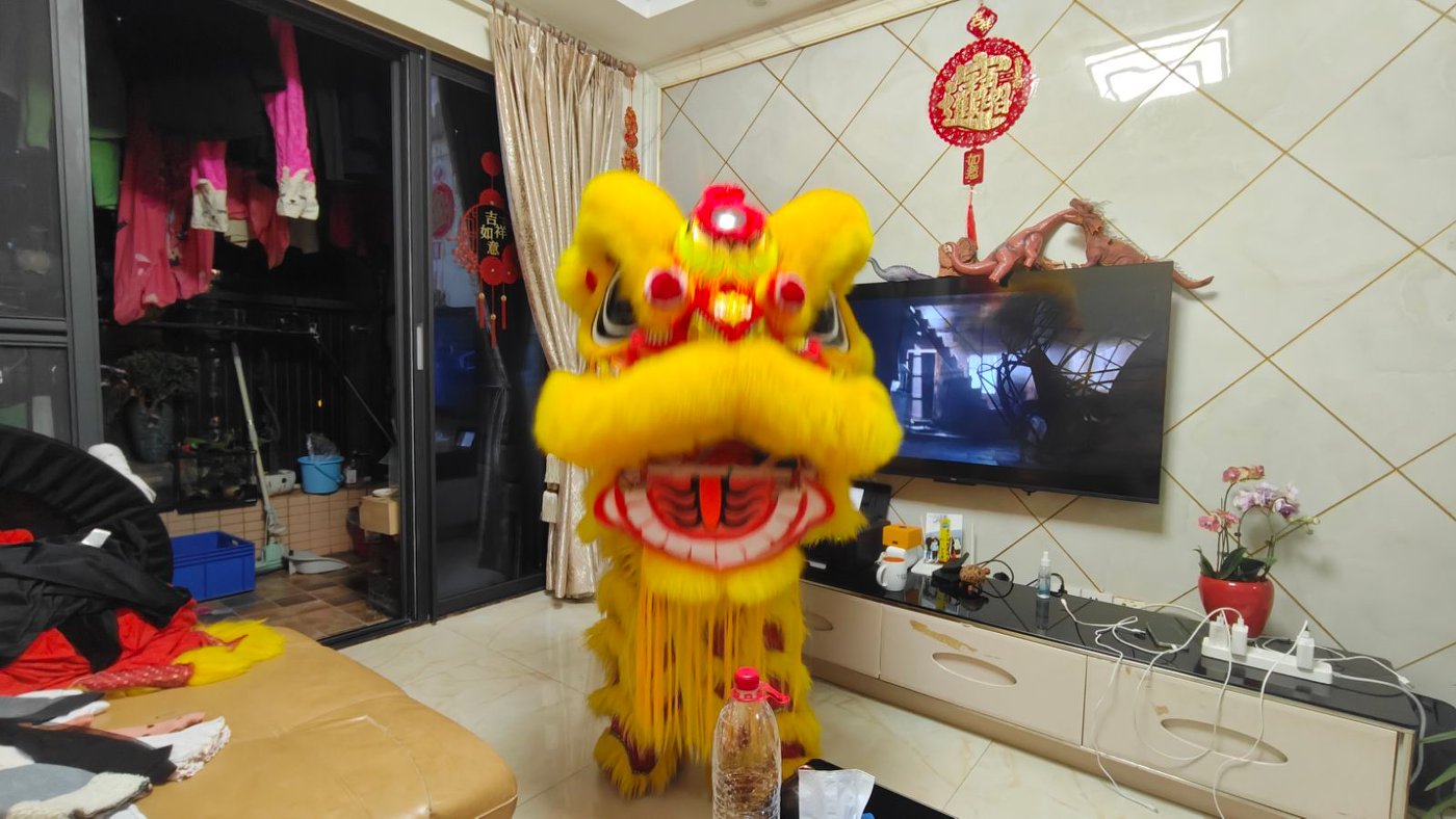 客厅里的狮子