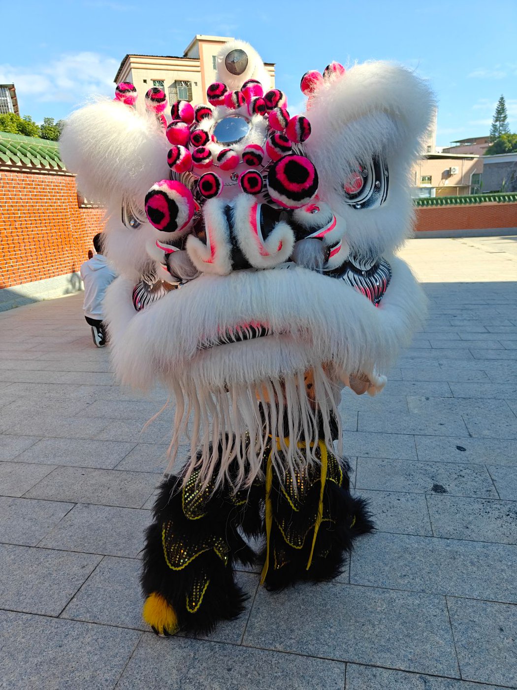 白狮头